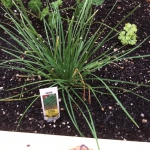 1E7F9464-666E-4BDE-9B3B-C6F381EB01EC