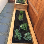 27728136-4F13-4CB5-96B7-3A6570C8AAD7