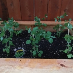 3531E2B0-BEF4-481C-B6D6-4F1AA636FB4E