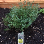 4F952190-D810-4FD1-A625-2B4CA605E340