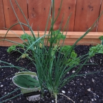 5071BA04-D32A-4C8C-AE80-31DB73577522