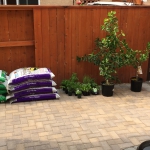 5784D9A8-7357-4E12-8A82-92A7261AD019