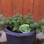 5D1174EA-B3BD-47CD-89F7-7859B7C2A91B