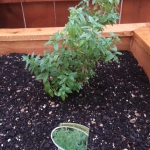 6EADC018-11D7-483C-8D12-60A2C07E9DEB