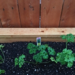 70543794-2380-465E-943E-134AF2E9E577