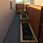 810D809D-0C3D-4420-8909-243F6F84D4C4