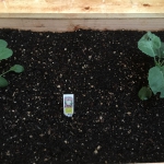 86C45DFB-7637-4770-A44E-2585240F7EEC