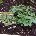 876062B0-75F0-42CB-9E67-94CAF29D22AF