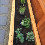 97069C20-950D-4C5A-B1F8-F0C0057F906E