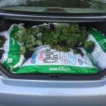 EB0EC559-F3AD-48C0-BEA9-35F65B46880E