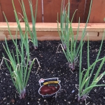 F7B8C76D-1334-4EC3-B25C-F7A0FE5DCDED